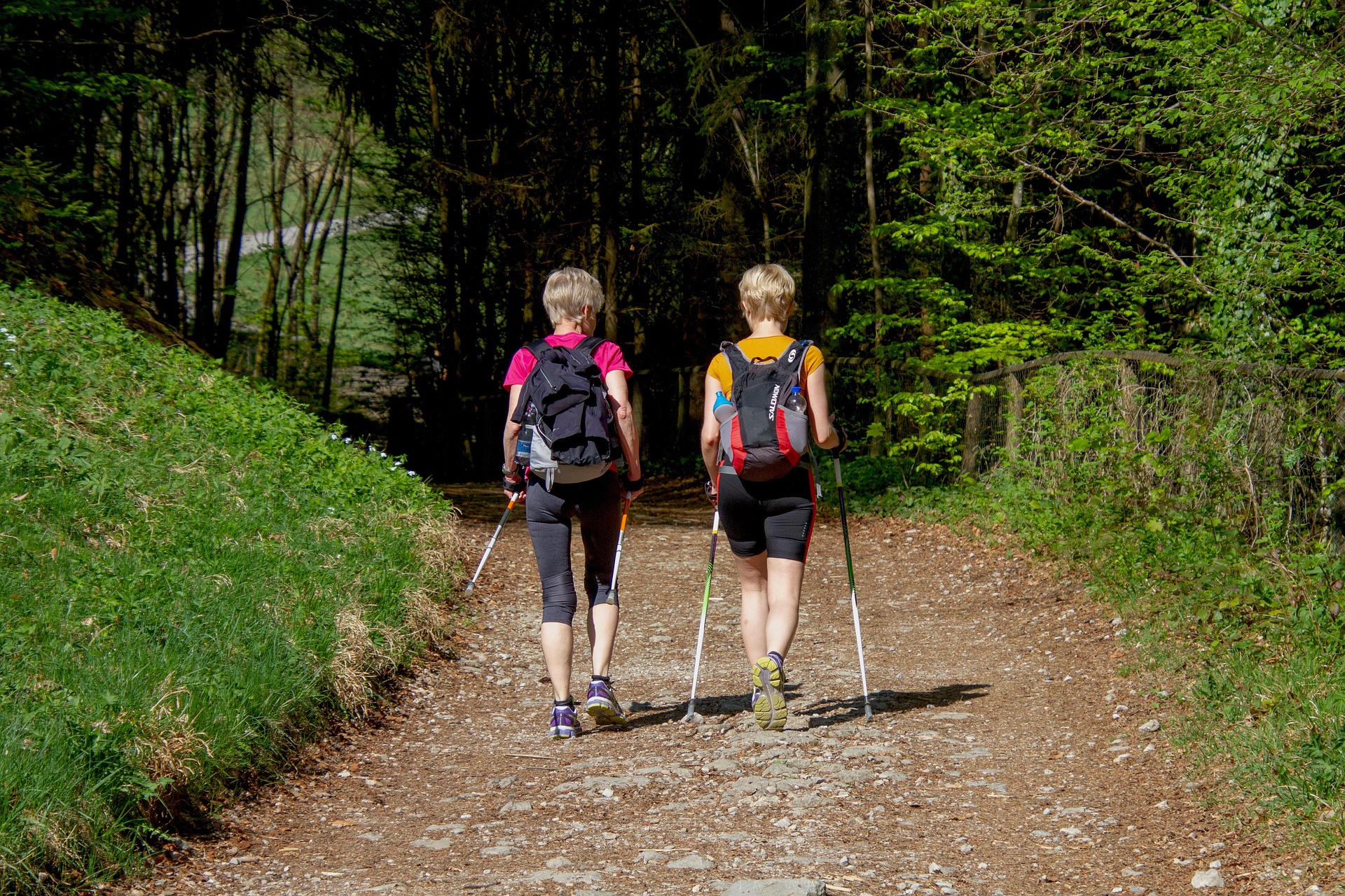 two women walking on a path into a forest